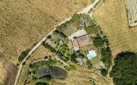 Podere Casanovina 12: Baum, Landschaft, Vogelperspektive, Wohngebiet, Luftaufnahmen, Ländliches Gebiet, Schwimmbad, Estate, Plantage, Landscaping