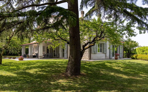 La Casetta 12: Baum, Gras, Blatt, Gebäude, Zuhause, Haus, Ast, Wohngebiet, Strauch