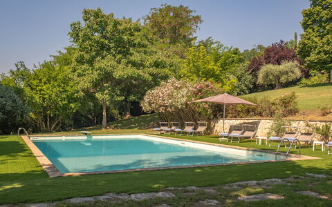Dolce Collina 10: Baum, Schwimmbad, Sommer, Strauch, Garten, Freizeit, Schatten, Estate, Rasen, Landscaping