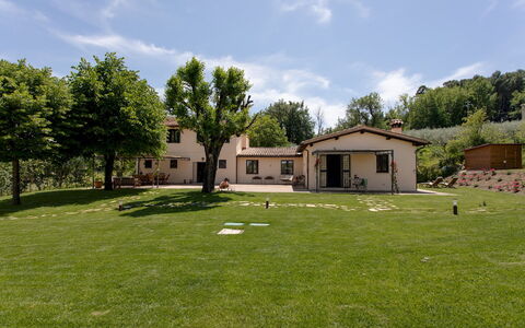 La Collina degli Ulivi 8+2: Gras, Haus, Landschaft, Wohngebiet, Zuhause, Einfach, Ländliches Gebiet, Grundstueck, Rasen, Hütte