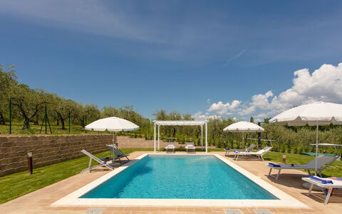 La Collina degli Ulivi 8+2: Schwimmbad, Gartenmöbel, Resort, Sonnenliege, Garten, Eco Hotel, Thermae, Landscaping, Estate, Hazienda