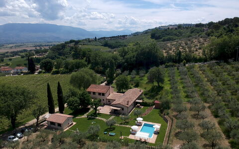 La Collina degli Ulivi 8+2: Essen, Plantage, Landwirtschaft, Estate, Vogelperspektive, Bauernhaus, Bergdorf, Luftaufnahmen, Bauernhof