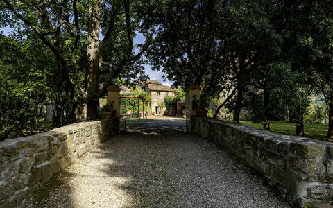 Case Novole 10: Blatt, Ast, Strauch, Garten, Sonnenlicht, Schatten, Estate, Auffahrt, Landscaping, Steinwand