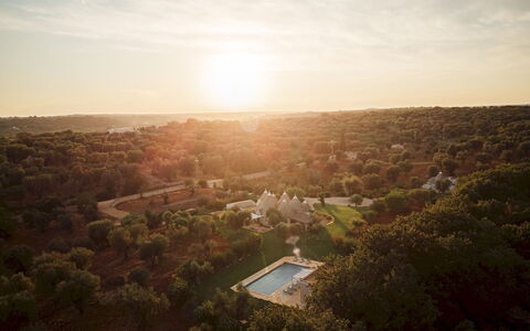 Trullo Magnifico 8: Baum, Natur, Landschaft, Horizont, Ökoregion, Grundstueck, Sonnenlicht, Morgen, Luftaufnahmen, Plantage