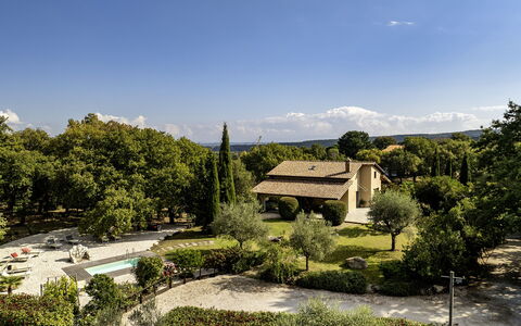 Villa Sparta 8+2: Baum, Blatt, Vegetation, Strauch, Haus, Landschaft, Zuhause, Grundstueck, Garten