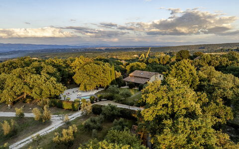 Villa Sparta 8+2: Baum, Natur, Blatt, Gras, Natürlichen Umgebung, Vegetation, Landschaft, Natürliche Landschaft, Einfach