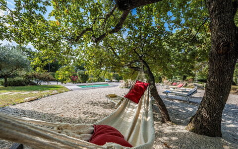 Villa Sparta 8+2: Ast, Kofferraum, Freizeit, Frühling, Schatten, Sonnenlicht, Garten, Park, Urlaub, Schatten