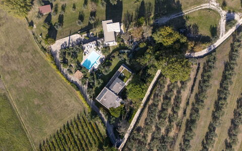 Brightline Villa 8: Baum, Wohngebiet, Vogelperspektive, Landschaft, Schwimmbad, Luftaufnahmen, Urban Design, Estate, Landscaping, Vorort