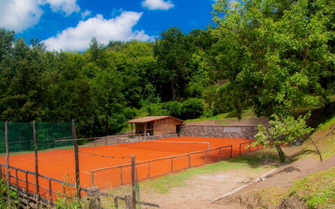 Villa Arbeio 8+6: Baum, Park, Netz