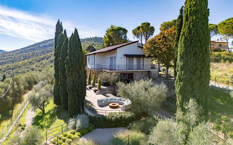 Casa dei Fiamminghi 10+2: Baum, Vegetation, Strauch, Pflanzengemeinschaft, Garten, Estate, Landscaping, Bauernhaus, Immergrün