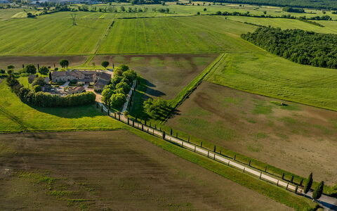 Villa le Beringhe 30: Einfach, Wiese, Landschaft, Feld, Vogelperspektive, Grundstueck, Luftaufnahmen, Ländliches Gebiet, Plantage, Weide