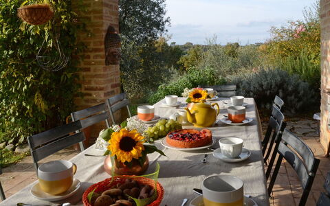 Terra San Raffaele 10+3: Möbel, Tabelle, Geschirr, Essen, Stuhl, Gartenmöbel, Küche & Esszimmer Tisch, Servierware, Obst, Tisch Im Freien