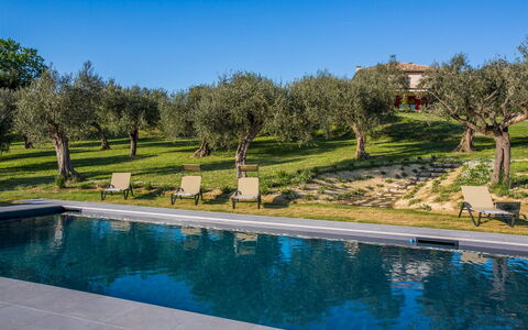 Casa Eugenia 8: Blau, Schwimmbad, Garten, Estate, Landscaping, Villa, Hazienda