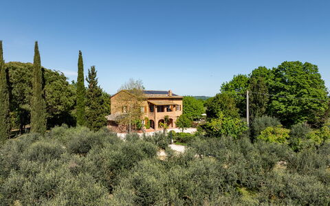 Sangiovese 14