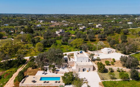 Masseria Grotta Antica 6+2: Baum, Landschaft, Estate, Vogelperspektive, Landscaping, Luftaufnahmen, Schwimmbad, Villa, Hazienda, Plantage
