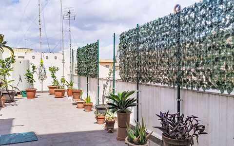 La Casa di Mary: Estate, Landscaping, Villa, Hecke, Balkon