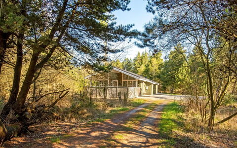 Liina - 3Km from the Sea: Baum, Natürlichen Umgebung, Ast, Holz, Zuhause, Hütte, Ländliches Gebiet, Grundstueck, Wald, Zweig