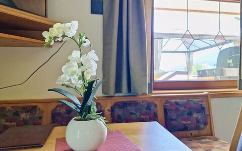 Arzl im Pitztal 15: Interior Design, Zimmer, Floristik, Decke, Zimmerpflanze, Blumentopf, Vorhang, Glas, Holzbeize