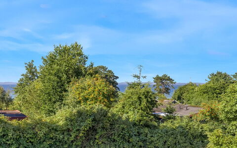 Kora - 300M from the Sea: Blau, Himmel, Blatt, Grün, Natur, Vegetation, Strauch, Pflanzengemeinschaft, Frühling, Sonnenlicht