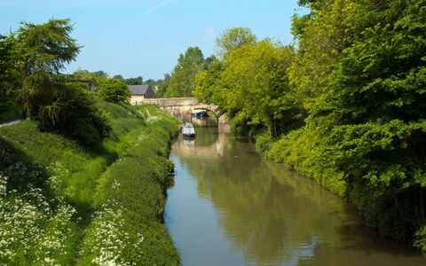 The Farmhouse at Rusty Lane Farm: Wasservorräte, Wasser, Gewässer, Wasserweg, Wasserlauf, Grün, Natur, Kanal, Kanal, Bank