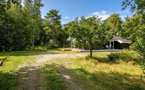 Naninja - 924M from the Sea: Baum, Gras, Grün, Blatt, Ast, Vegetation, Strauch, Haus, Zuhause