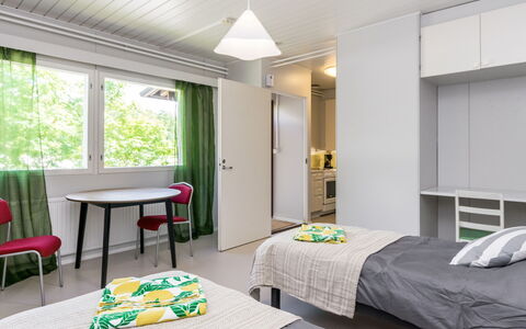 Heinävesi Homes D3: Gebirge, Glazialmorphologie, Schnee, Decke, Alpen, Winter, Senke, Einfrieren, Eiskappe, Bergdorf