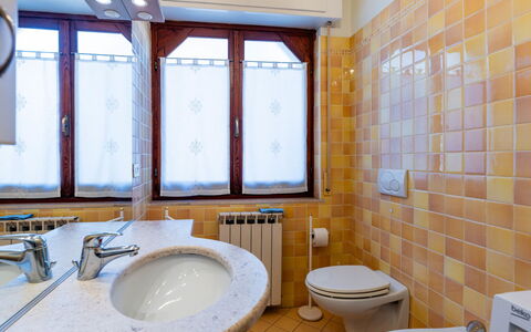 Nautilus: Gebirge, Glazialmorphologie, Schnee, Decke, Alpen, Winter, Senke, Einfrieren, Eiskappe, Bergdorf