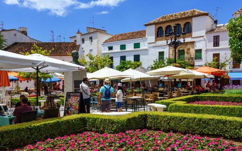 La Quinta Hills: Öffentlicher Raum, Garten, Mischnutzung, Freizeit, Landscaping, Urlaub, Botanischer Garten, Stadtplatz, Regenschirm