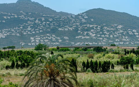 Oliva Nova Cabagua: Bergforms, Vegetation, Berg, Hügel, Landschaft, Ökoregion, Hochland, Pflanzengemeinschaft, Bergstation, Gebirge