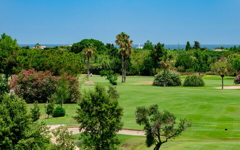 Oliva Nova Cabagua: Baum, Strauch, Landschaft, Grundstueck, Wiese, Garten, Rasen, Landscaping, Plantage