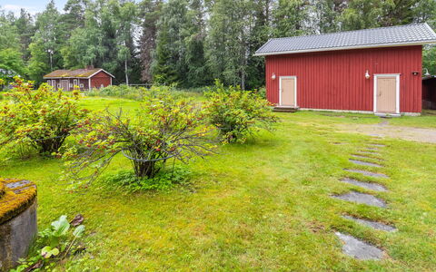 Alpola: Gras, Grün, Vegetation, Strauch, Grundstueck, Haus, Hütte, Pflanzengemeinschaft, Garten