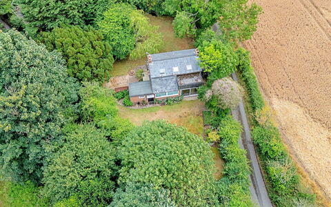 Hollybush Studio: Baum, Vegetation, Landschaft, Haus, Ländliches Gebiet, Strauch, Dach, Hütte, Zuhause, Pflanzengemeinschaft