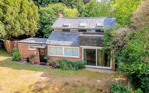 Hollybush Studio: Haus, Dach, Zuhause, Strauch, Hütte, Wohngebiet, Ländliches Gebiet, Estate, Garten, Ground