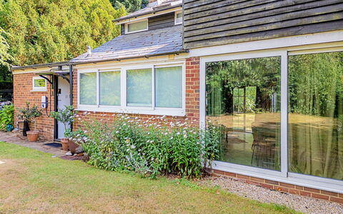 Hollybush Studio: Zuhause, Haus, Strauch, Wohngebiet, Dach, Hütte, Tür, Grundstueck, Estate, Garten
