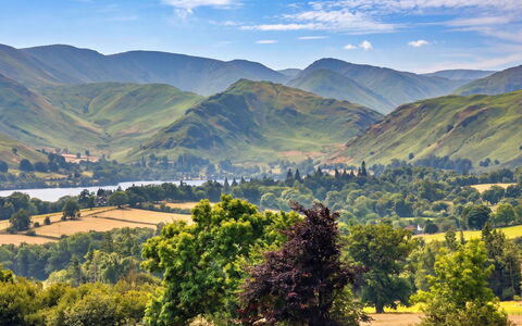 Willow'S View: Berg, Bergforms, Grün, Hügel, Natürliche Landschaft, Hochland, Gebirge, Wiese, Landschaft, Ökoregion