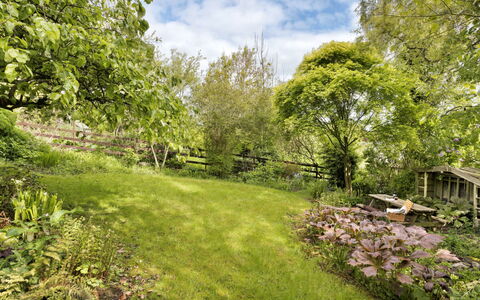 Bourne Edge: Gras, Vegetation, Strauch, Garten, Pflanzengemeinschaft, Wiese, Ground, Grundstueck, Frühling