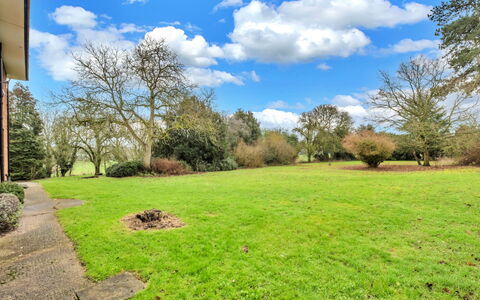 Clavering Hall: Baum, Gras, Strauch, Wiese, Garten, Einfach, Grundstueck, Rasen, Ground