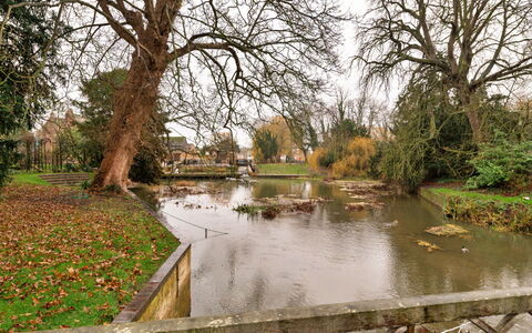 The Potting Shed at Island Hall: Wasser, Baum, Gewässer, Wasservorräte, Natur, Ast, Wasserlauf, Wasserweg, Bank, Landschaft