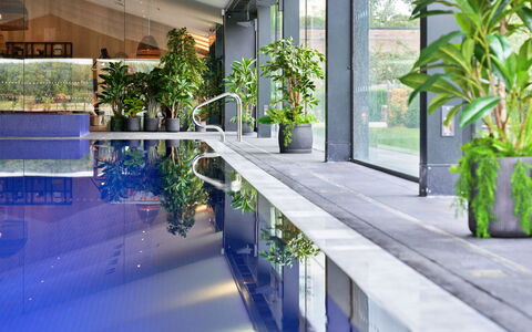 The Glass House at the Lakes by Yoo: Schwimmbad, Blumentopf, Resort, Zimmerpflanze, Schatten, Eco Hotel, Hotel, Design, Hof, Water Feature