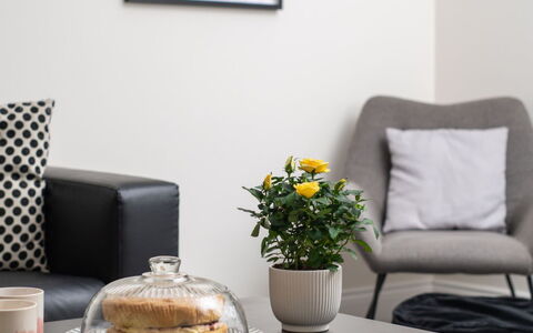 Field View: Möbel, Interior Design, Couch, Zuhause, Wohnzimmer, Tabelle, Kissen, Textil, Dekokissen, Flooring