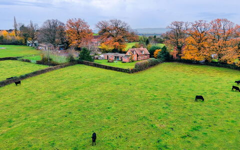 Cricketers' Cottage: Gras, Grün, Wiese, Landschaft, Ländliches Gebiet, Einfach, Grundstueck, Weide, Wiese, Feld