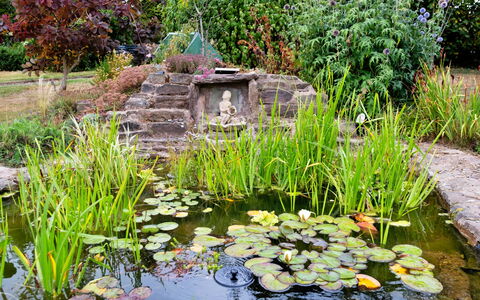 New Lodge Granary: Grün, Garten, Teich, Strauch, Ground, Water Feature, Fischteich