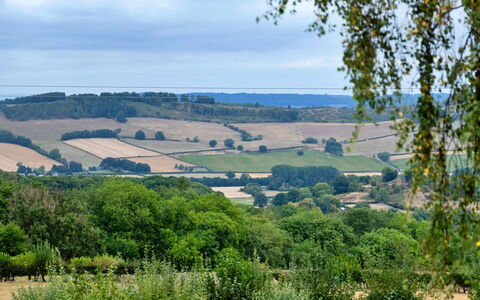 New Lodge Granary: Grün, Vegetation, Natürliche Landschaft, Strauch, Wiese, Ökoregion, Pflanzengemeinschaft, Landschaft, Einfach, Grundstueck