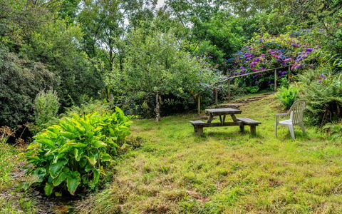 Millook Water: Natur, Vegetation, Strauch, Garten, Pflanzengemeinschaft, Grundstueck, Ground, Ländliches Gebiet, Frühling