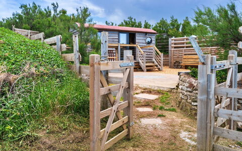 Manderley: Holz, Grundstueck, Ländliches Gebiet, Zaun, Hütte, Garten, Landscaping, Hartholz