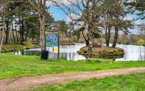 Pine Forest Lodge: Wasser, Natur, Bank, Wasserlauf, Teich, See, Naturschutzgebiet, Reservoir, Park
