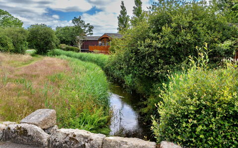 Stargazey: Gras, Natur, Natürliche Landschaft, Vegetation, Wasserlauf, Strauch, Wasserweg, Pflanzengemeinschaft, Landschaft