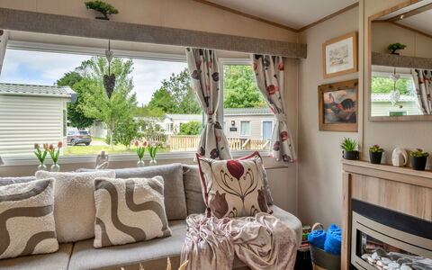 Stargazey: Möbel, Wohnzimmer, Couch, Zimmerpflanze