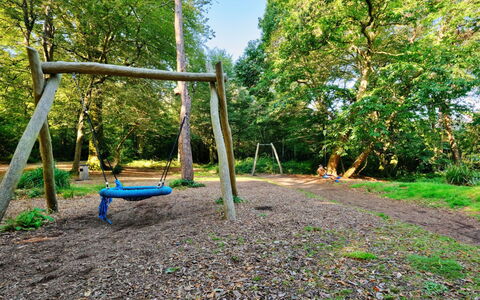 St. Ives 637: Baum, Natur, Natürlichen Umgebung, Holz, Spielmittel, Wald, Spielplatz Rutsche, Kofferraum, Wald, Garten