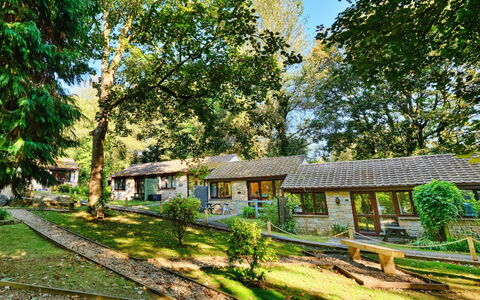 St. Ives 637: Haus, Hütte, Zuhause, Strauch, Ländliches Gebiet, Dach, Grundstueck, Menschliche Siedlung, Frühling, Garten